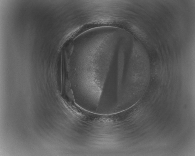 X0000062650640200512281648