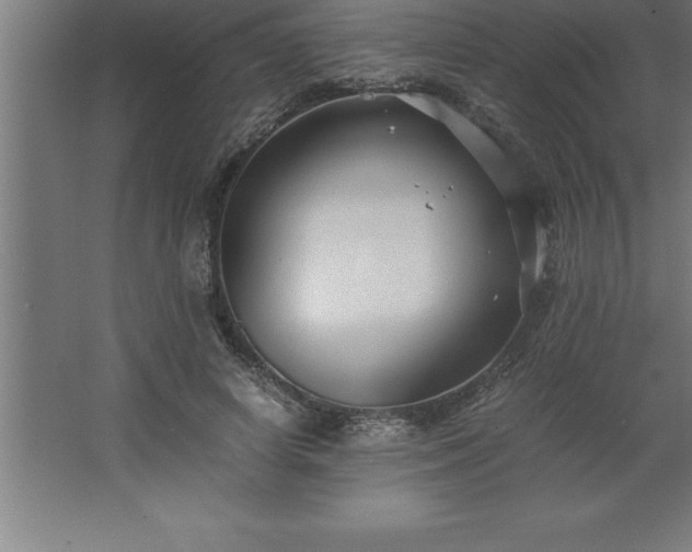 X0000062650642200512281648