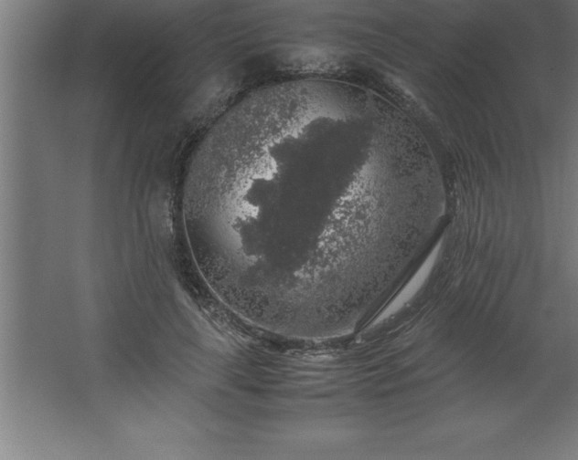 X0000062650643200512281648