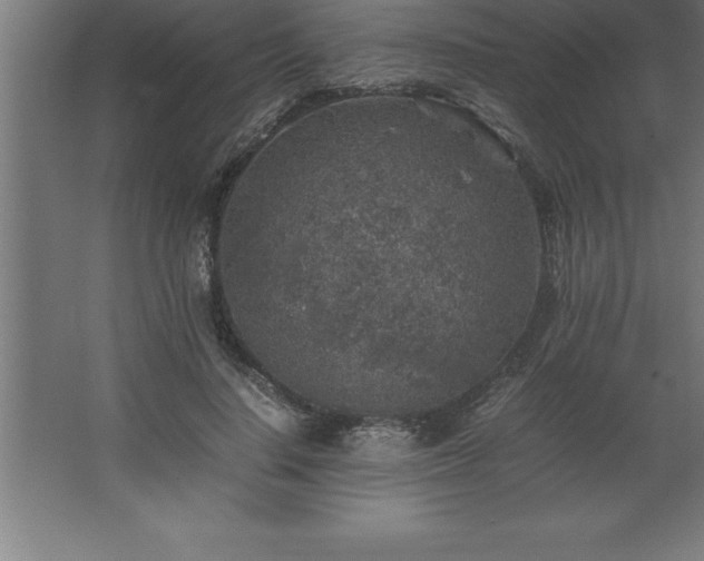 X0000062650644200512281648