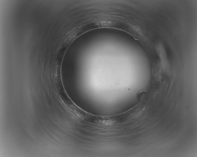 X0000062650645200512281648