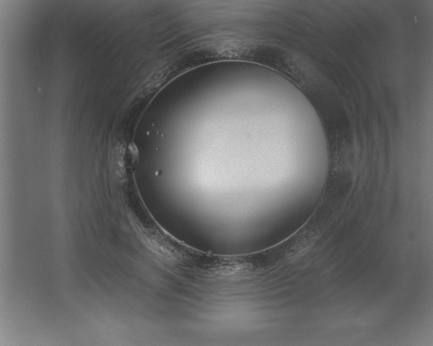 X0000062650646200512281648