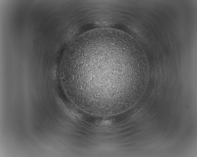 X0000062650647200512281648