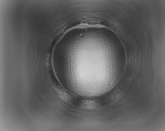 X0000062650649200512281648