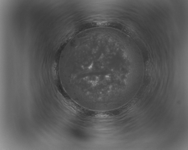 X0000062650650200512281648