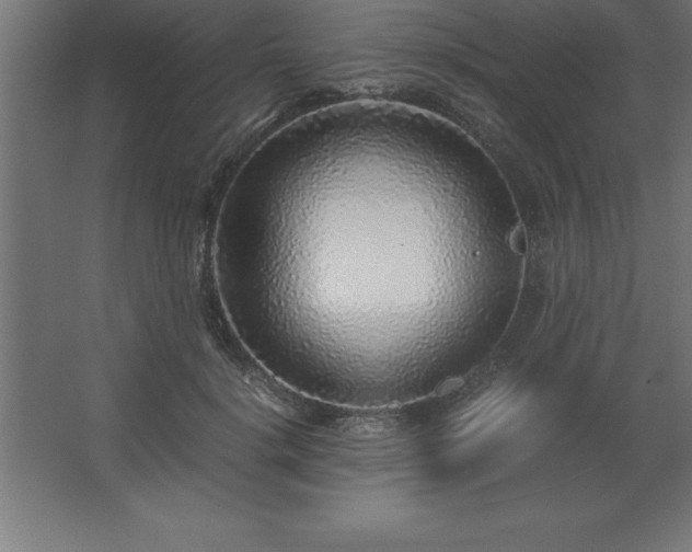 X0000062650652200512281648