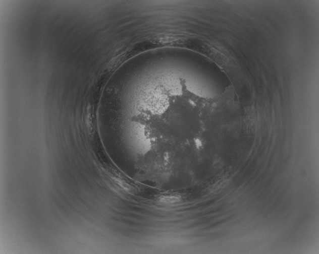 X0000062650653200512281648