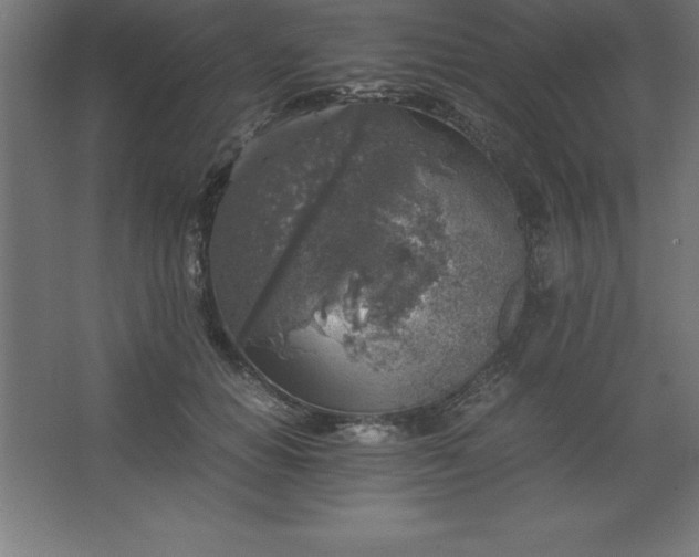 X0000062650654200512281648