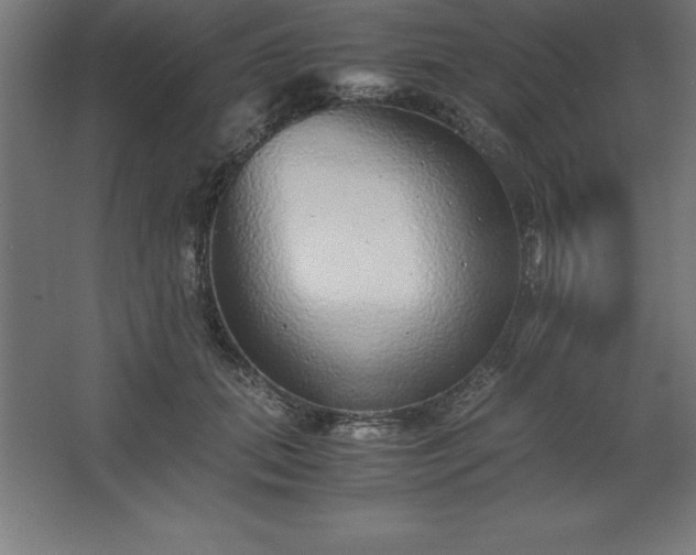 X0000062650655200512281648