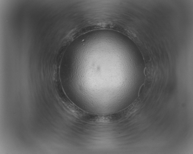 X0000062650656200512281648