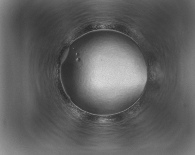 X0000062650657200512281648