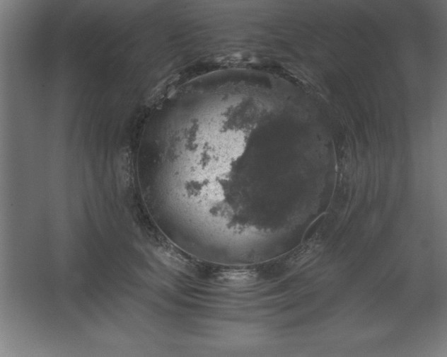 X0000062650659200512281648