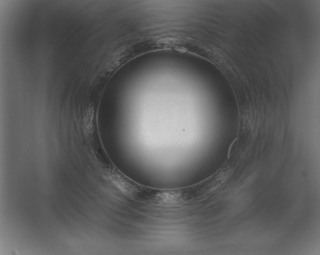 X0000062650660200512281648