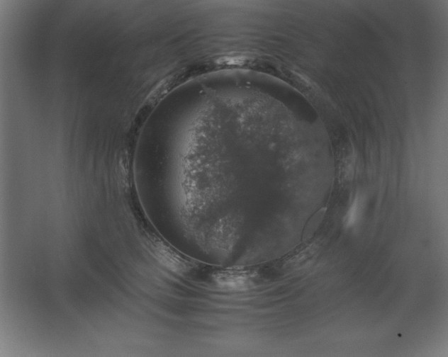 X0000062650661200512281648