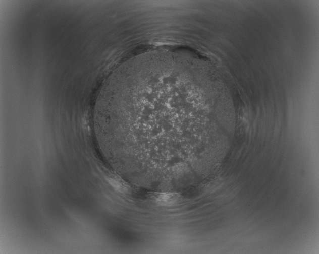 X0000062650663200512281648