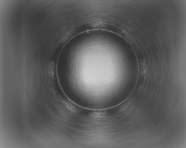 X0000062650664200512281648