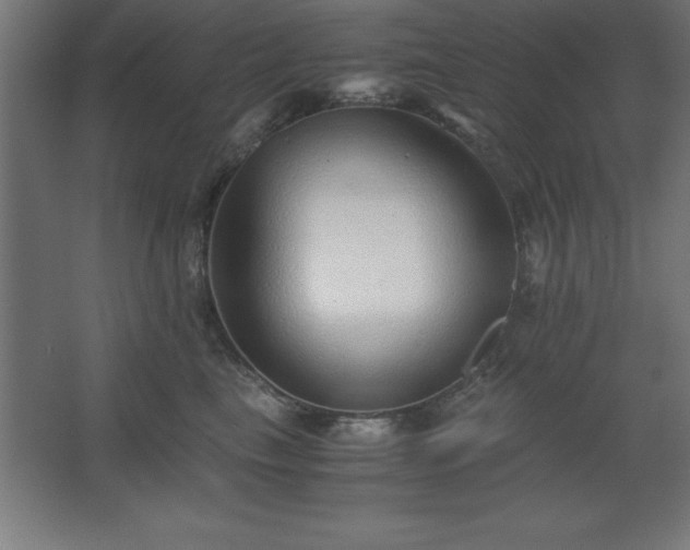 X0000062650665200512281648