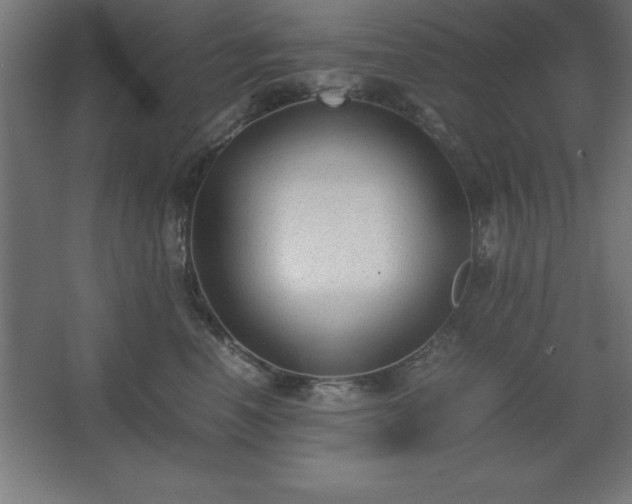 X0000062650666200512281648