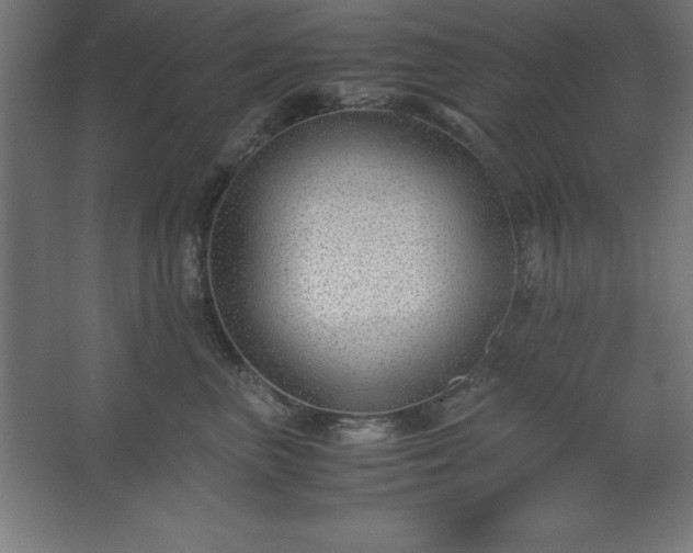 X0000062650667200512281648