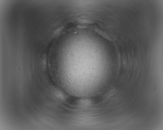 X0000062650668200512281648