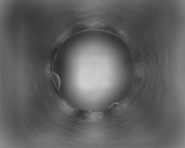 X0000062650670200512281648