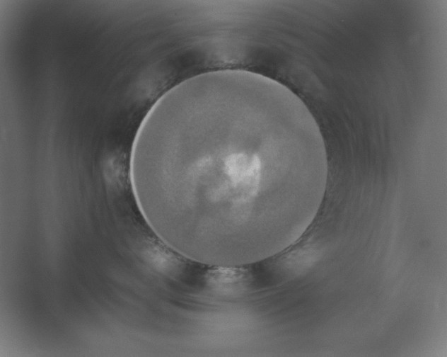 X0000062650672200512281649