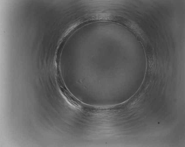 X0000062650674200512281648