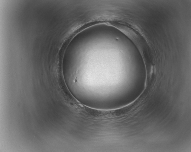 X0000062650675200512281648