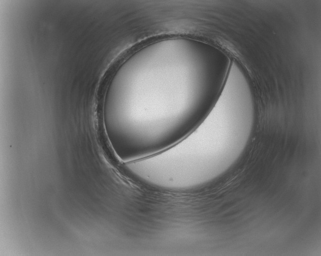 X0000062650676200512281648