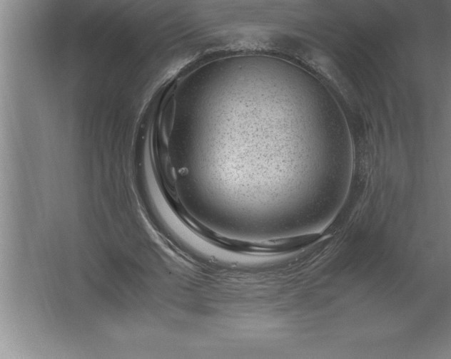 X0000062650677200512281648