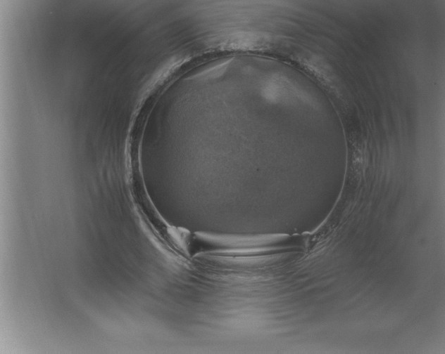 X0000062650678200512281648