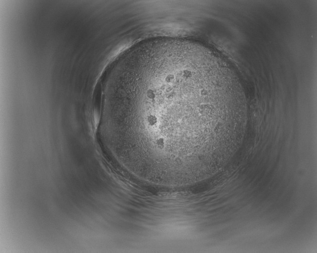 X0000062650679200512281648