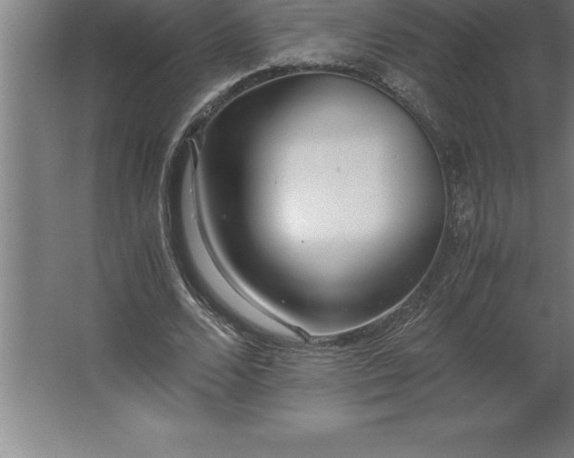 X0000062650680200512281648