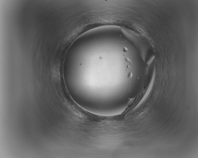 X0000062650681200512281648