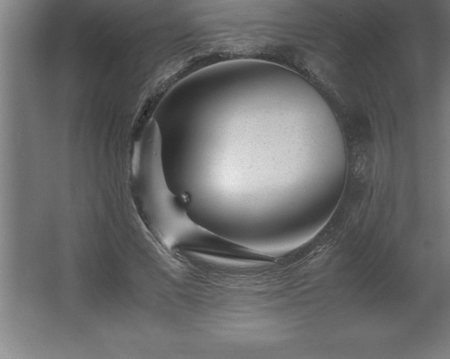 X0000062650685200512281648