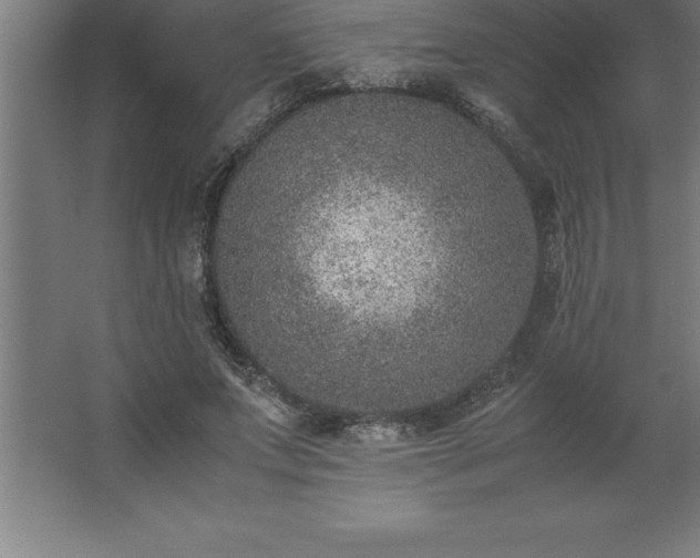 X0000062650687200512281647