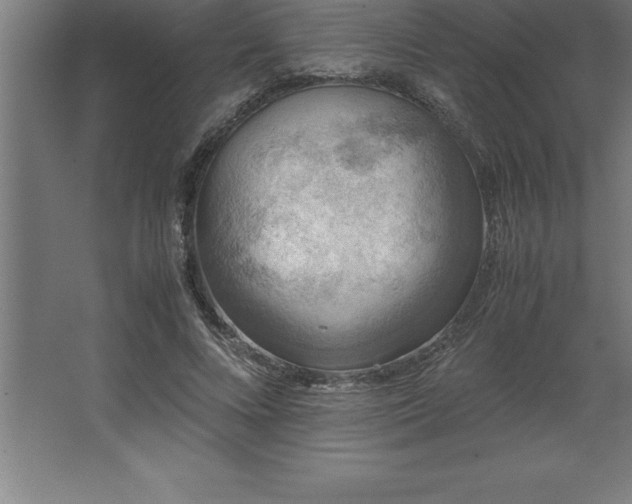 X0000062650688200512281647