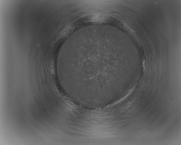 X0000062650689200512281647