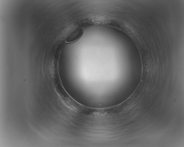 X0000062650690200512281647