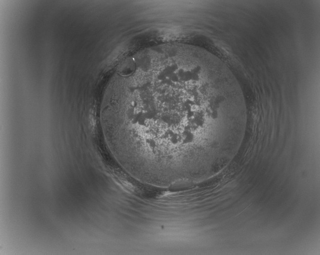 X0000062650691200512281647