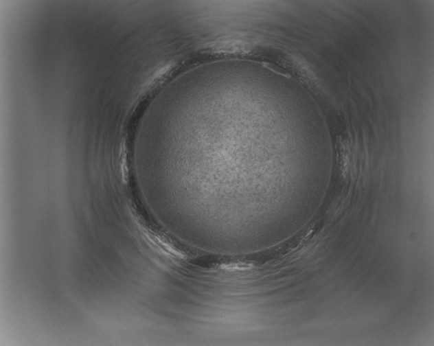 X0000062650692200512281647