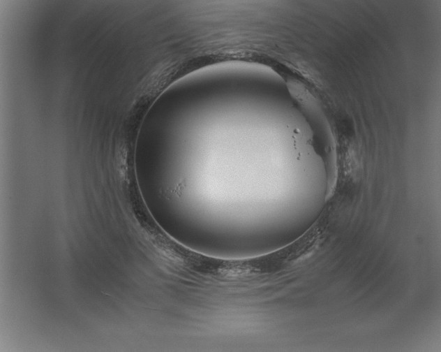 X0000062650693200512281647