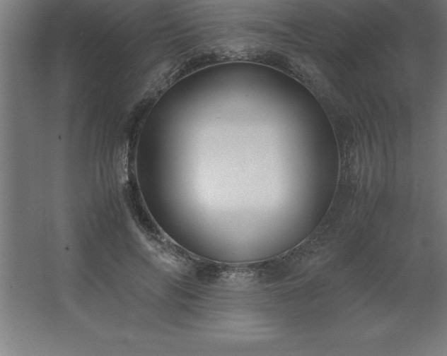 X0000062650694200512281647