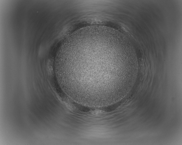 X0000062650695200512281647