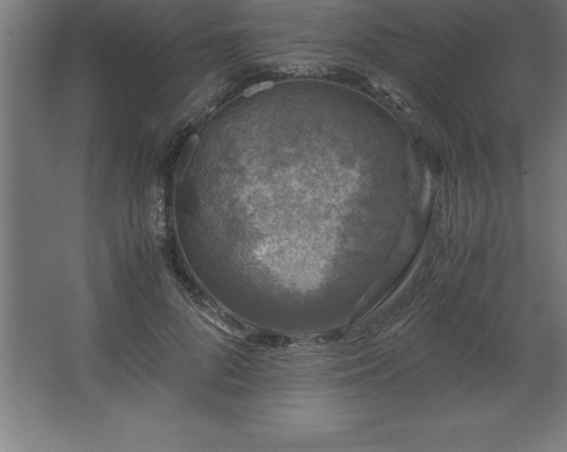 X0000062650696200512281647