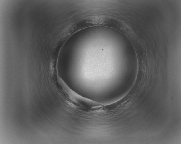 X0000062650697200512281647