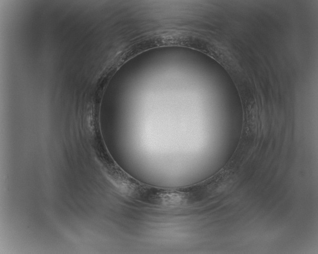 X0000062650698200512281647