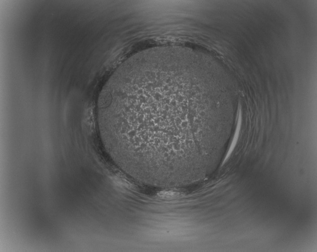 X0000062650699200512281647