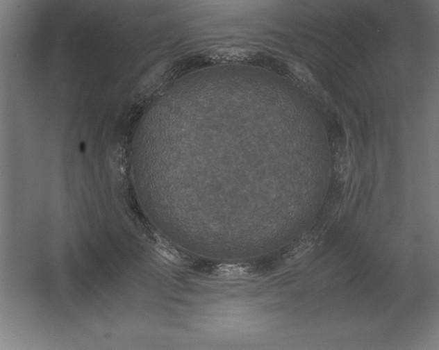 X0000062650701200512281647