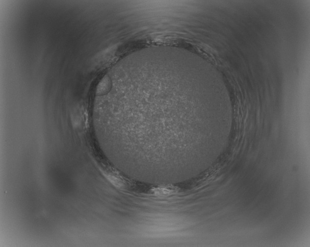 X0000062650703200512281647